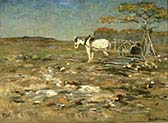 Clearing a Field